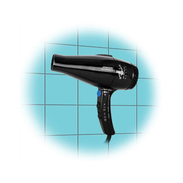 PD160225 professional hair dryer gymnasium gyms swimming pools hotels 2000 watts